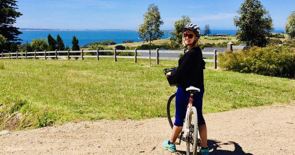 Wine bike tour on sale